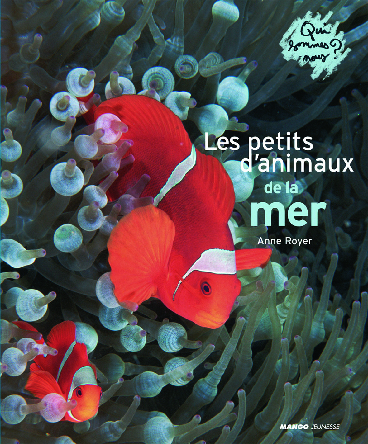 LES PETITS ANIMAUX DE LA MER
