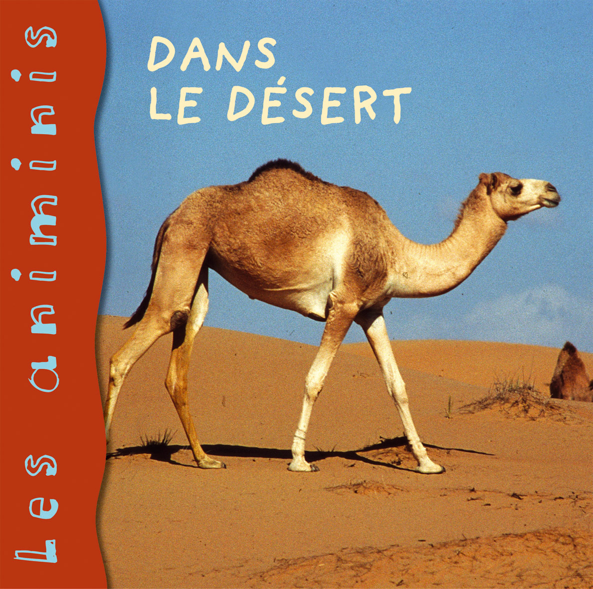 DANS LE DESERT