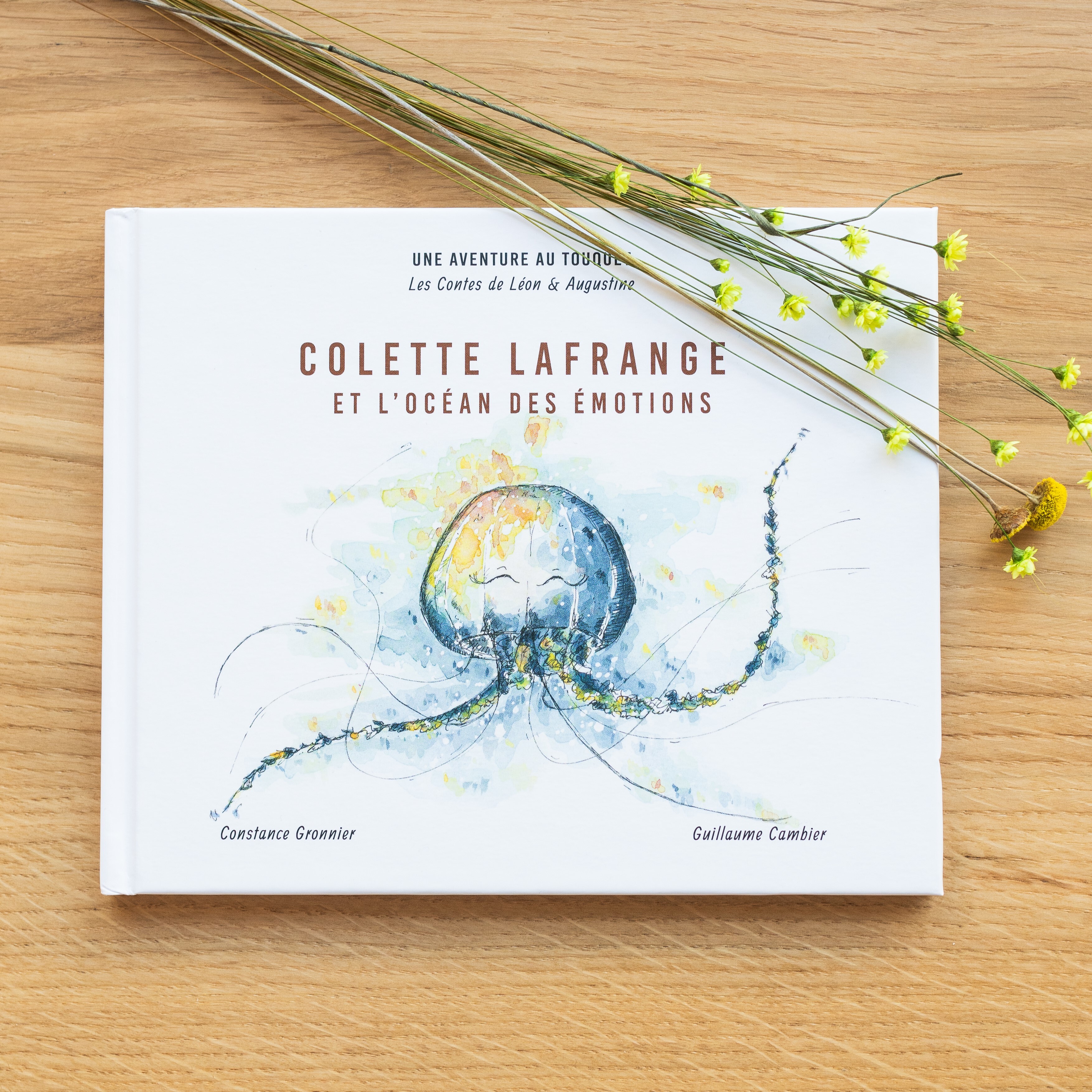 COLETTE LAFRANGE ET L'OCEAN DES EMOTIONS