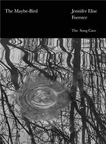 The Maybe-Bird /anglais