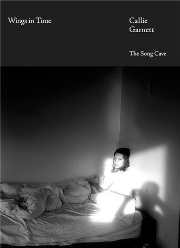 Wings In Time /anglais