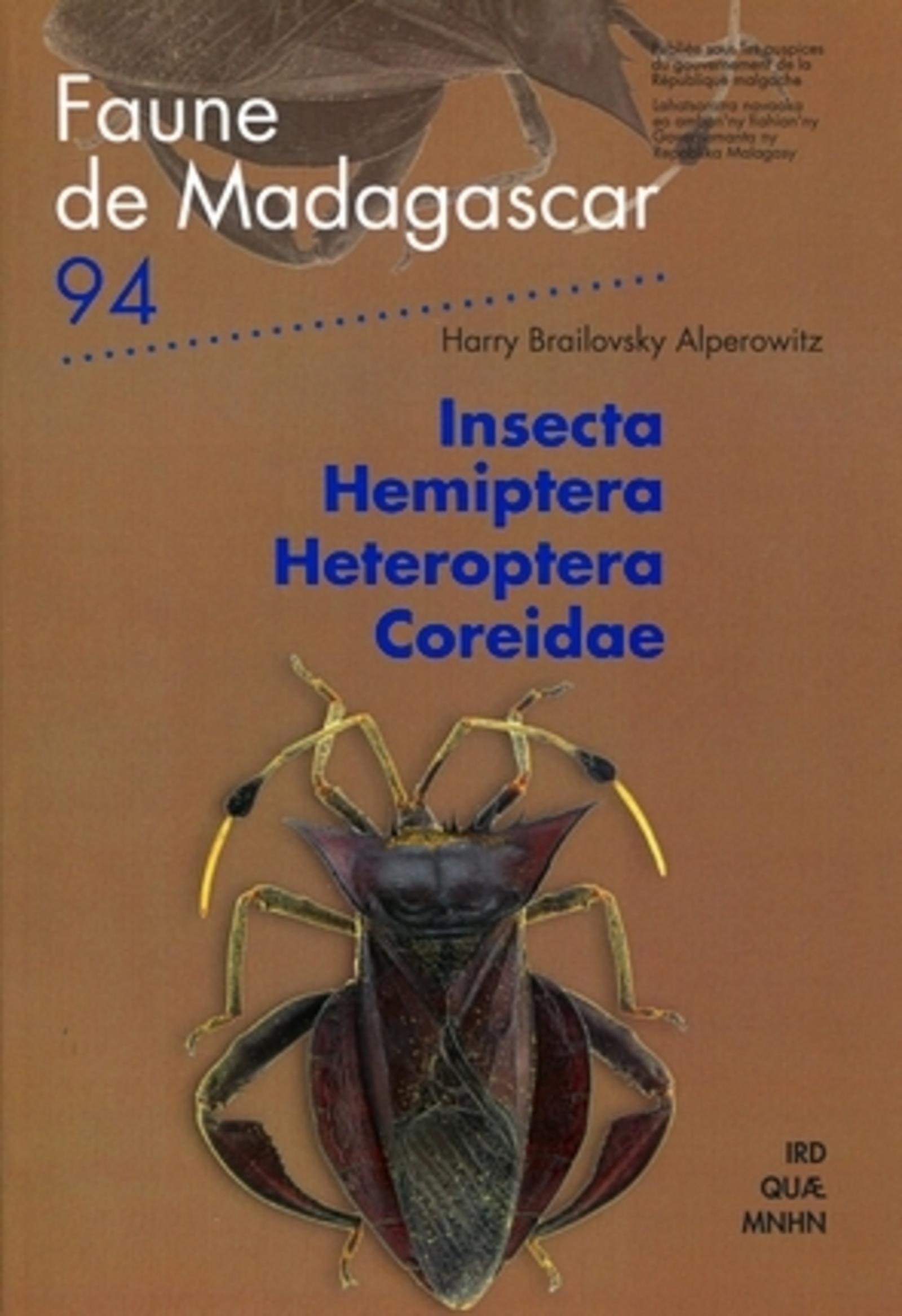 INSECTA HEMIPTERA HETEROPTERA COREIDAE