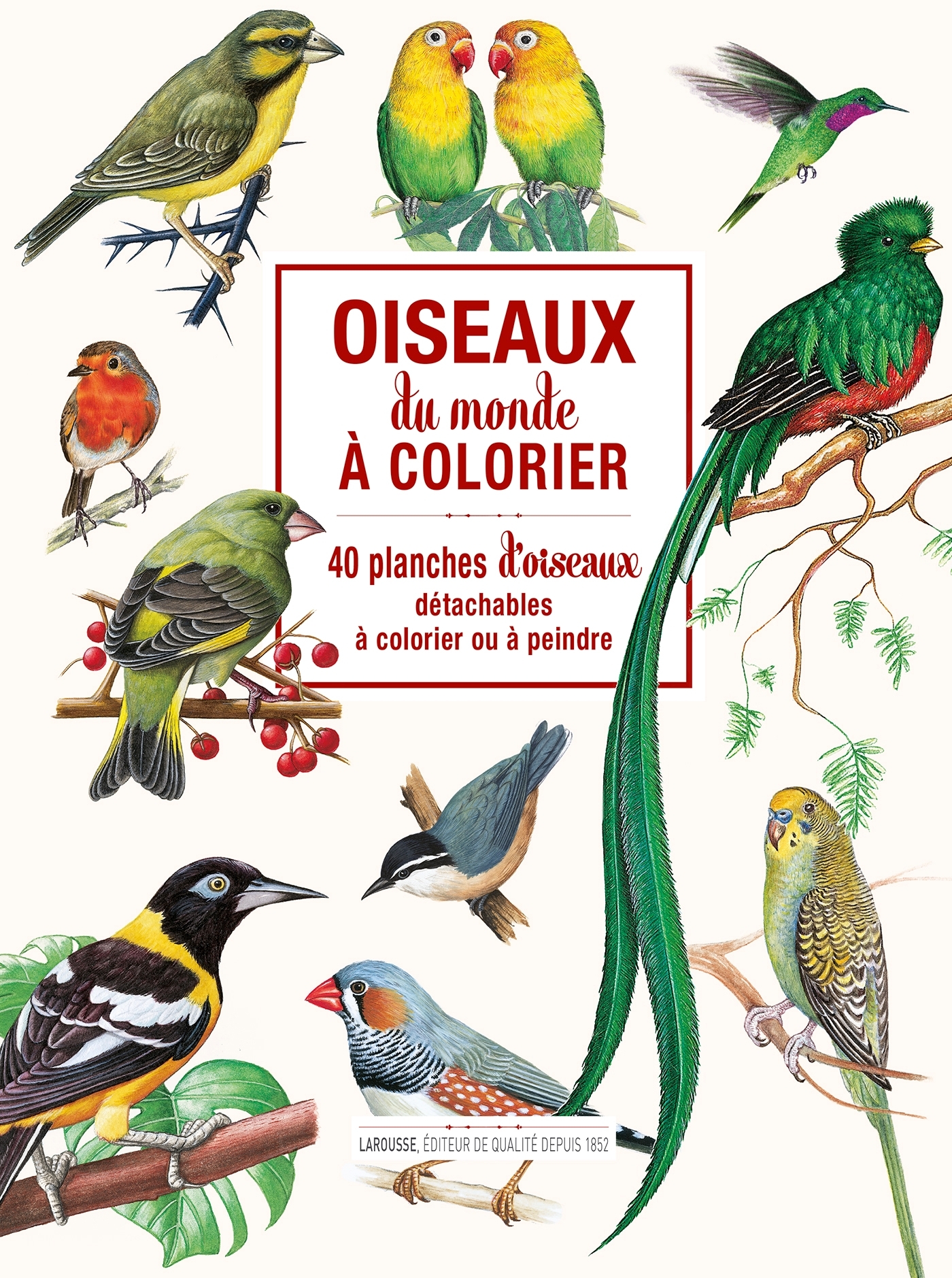 Oiseaux du monde à colorier