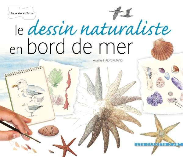 Le dessin naturaliste - Bords de mer