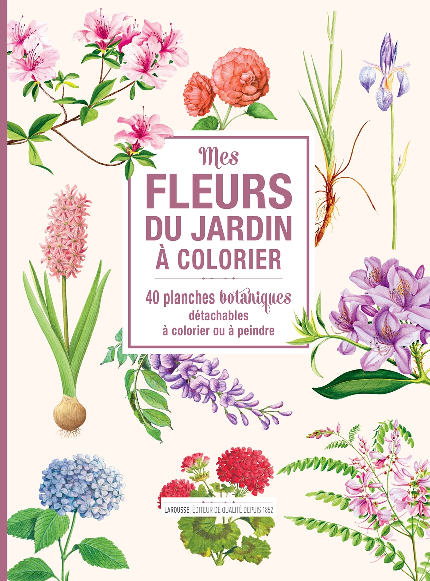 Mes fleurs du jardin à colorier