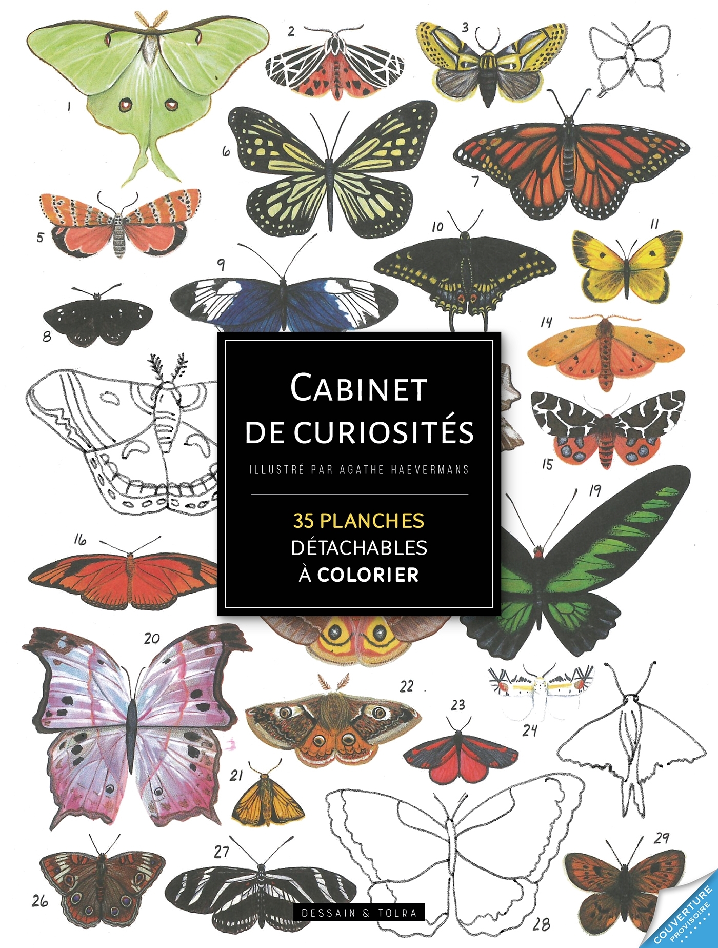 Cabinet de curiosités