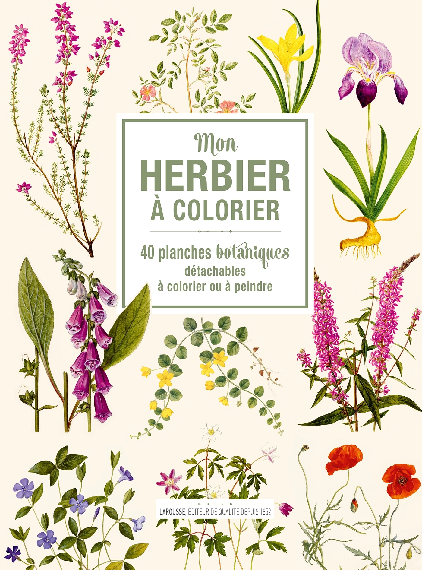 Mon herbier à colorier