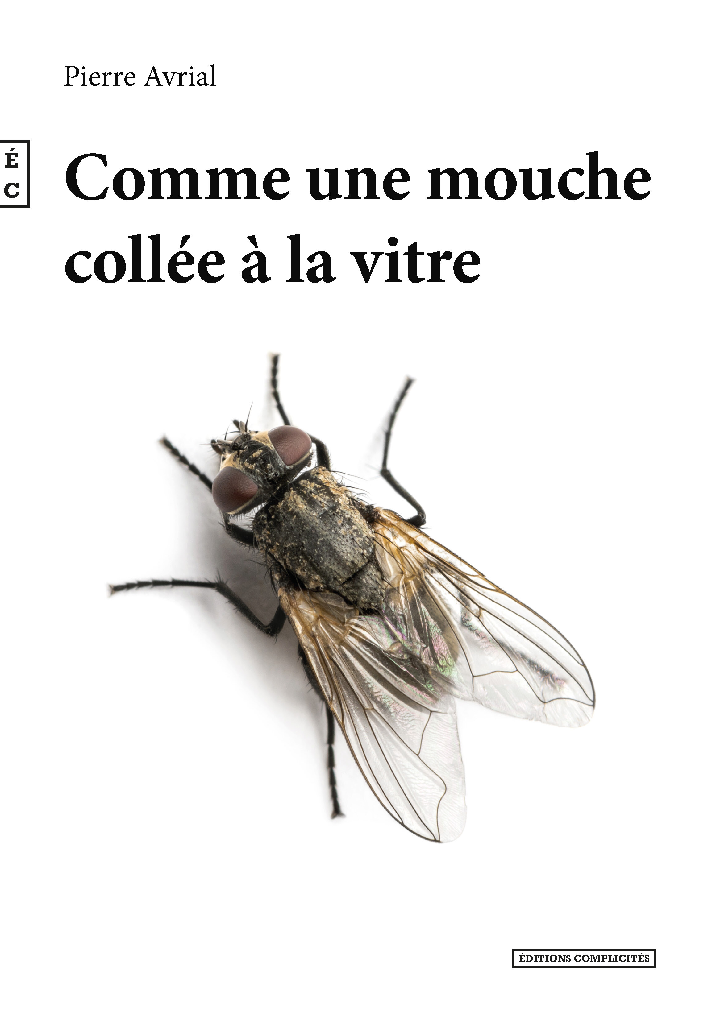 Comme une mouche collée à la vitre - roman
