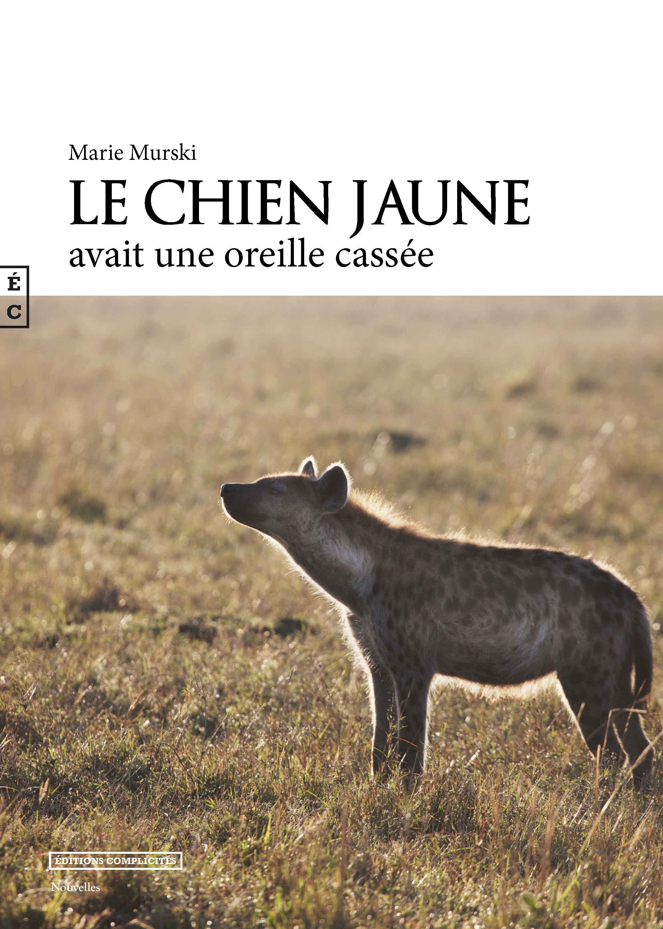 Le chien jaune avait une oreille cassée