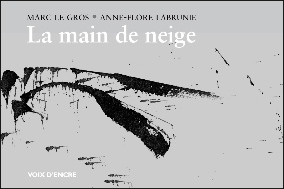 LA MAIN DE NEIGE