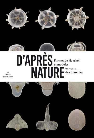 D'après nature - formes de Haeckel et modèles en verre des Blaschka, Musée zoologique de Strasbourg