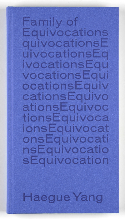 Family of equivocations... Haegue Yang - [exposition, Strasbourg, Aubette 1928 et Musée d'art moderne et contemporain, 8 juin-15 septembre 2