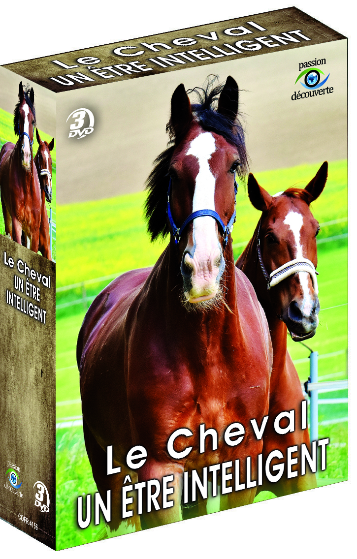 LE CHEVAL - UN ETRE INTELLIGENT
