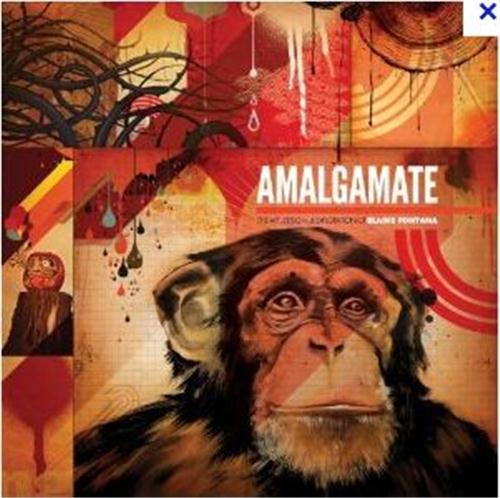 Amalgamate The Art Design and Exploration of Blaine Fontana /anglais