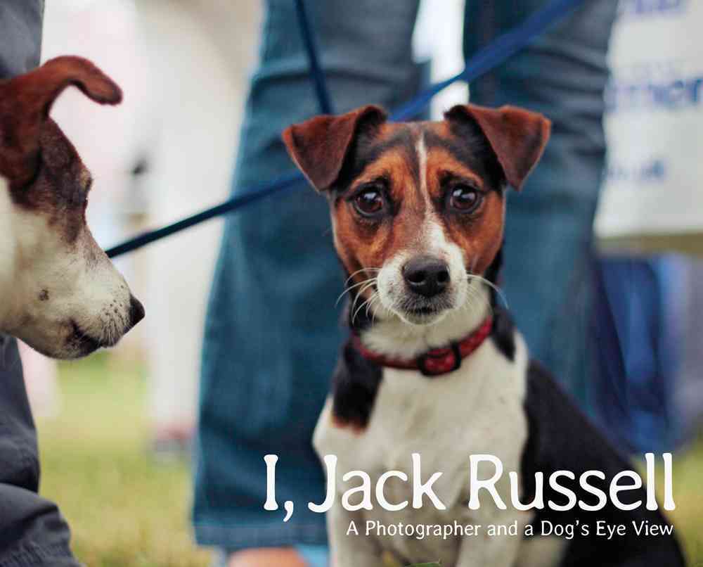 I Jack Russell