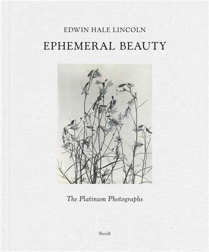 Edwin Hale Lincoln Ephemeral Beauty /anglais