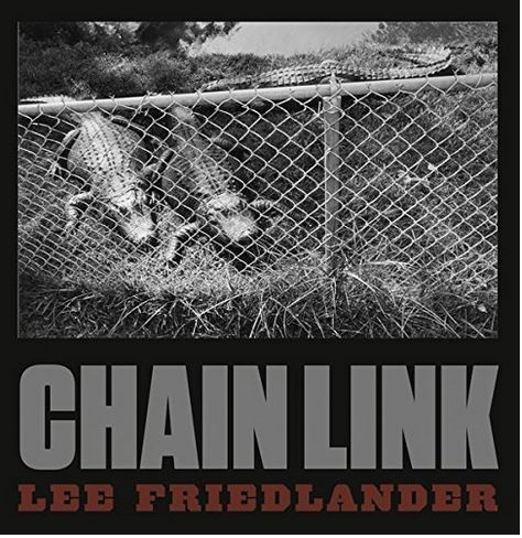 Lee Friedlander Chain Link /anglais