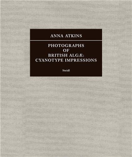 Anna Atkins Photographs of British Alg  Cyanotype Impressions /anglais