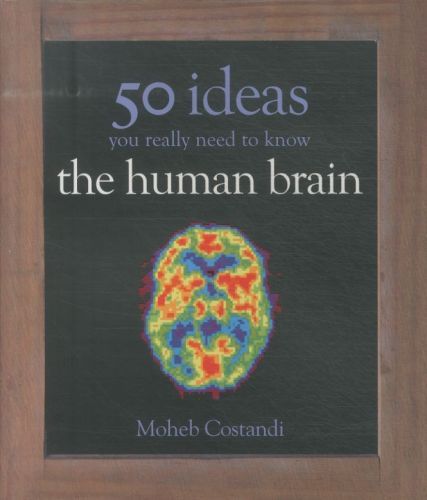 50 Human Brain Ideas You Really Need to Know