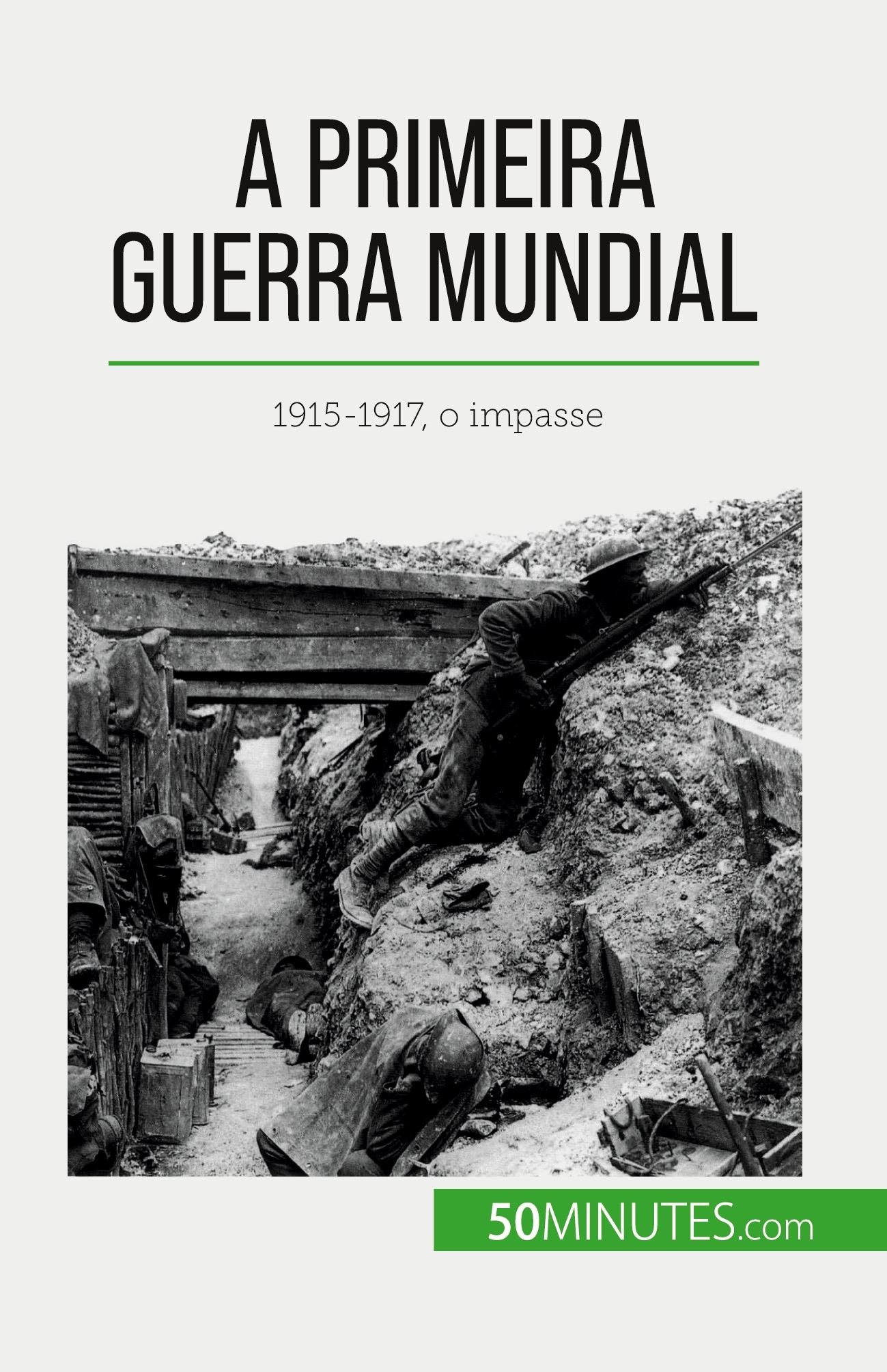 A Primeira Guerra Mundial (Volume 2)