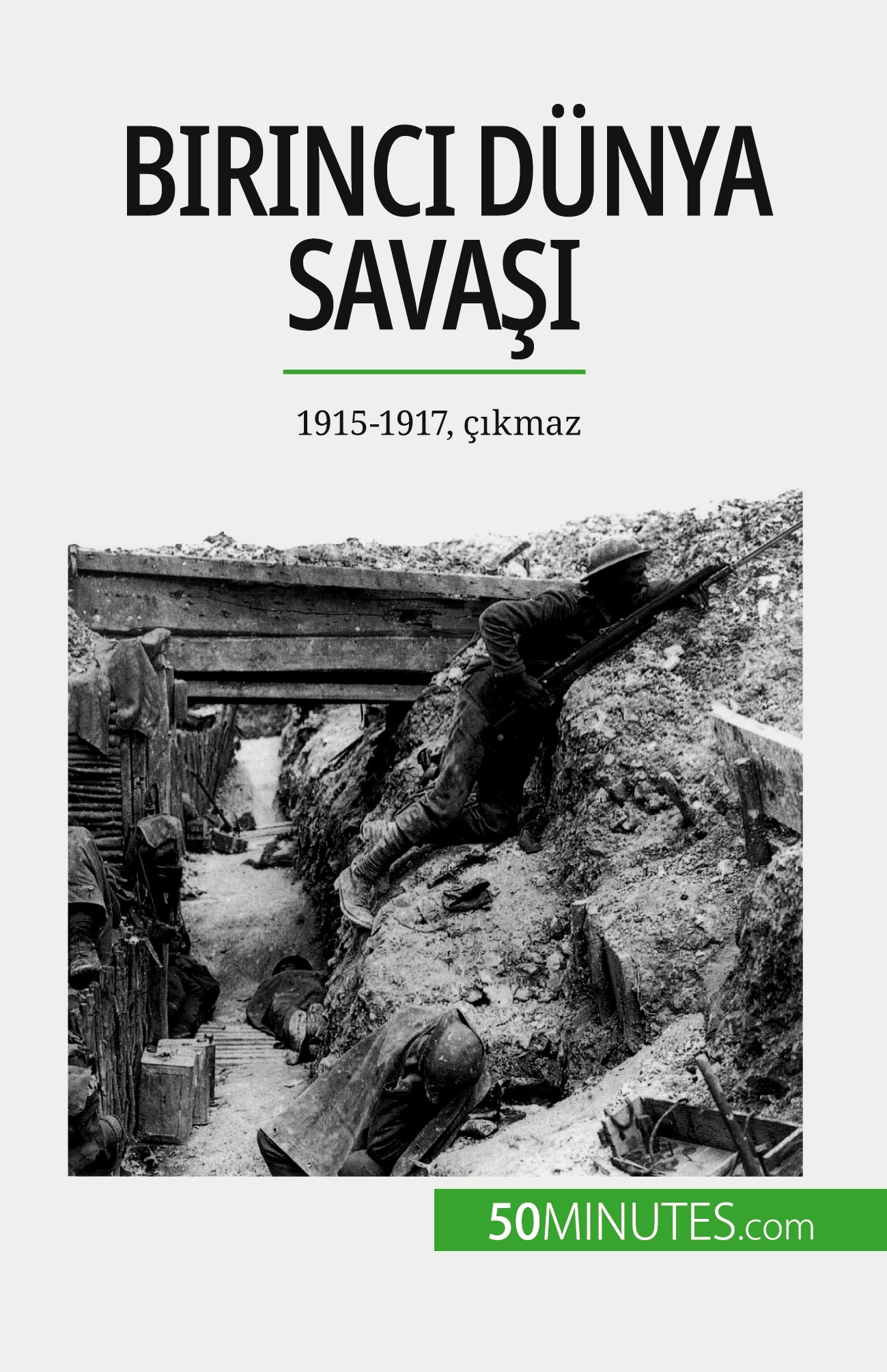 Birinci Dünya Savaşı (Cilt 2)