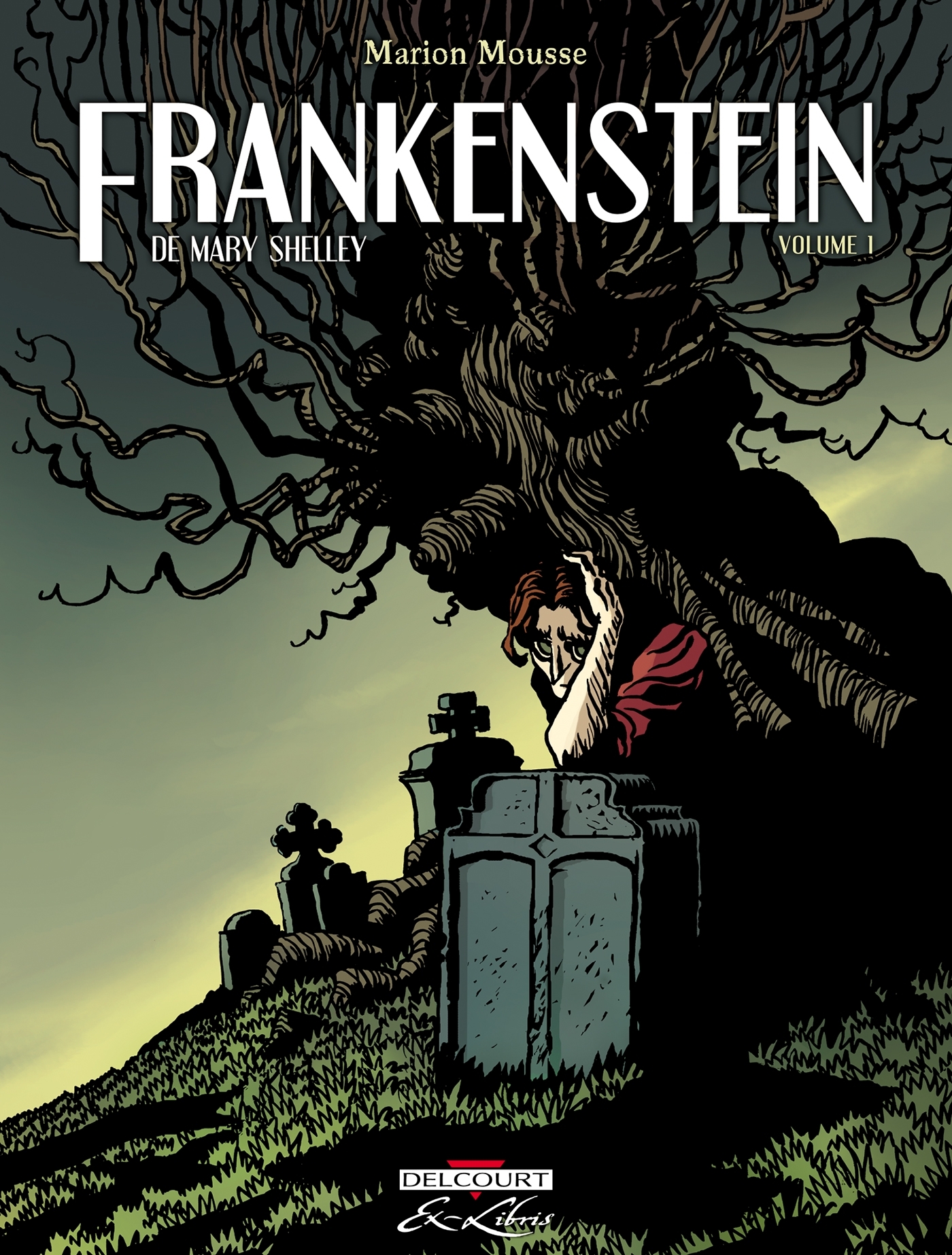 Frankenstein, de Mary Shelley T01