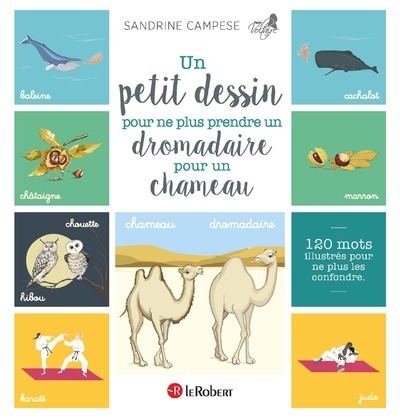 Un petit dessin pour ne plus prendre un dromadaire pour un chameau