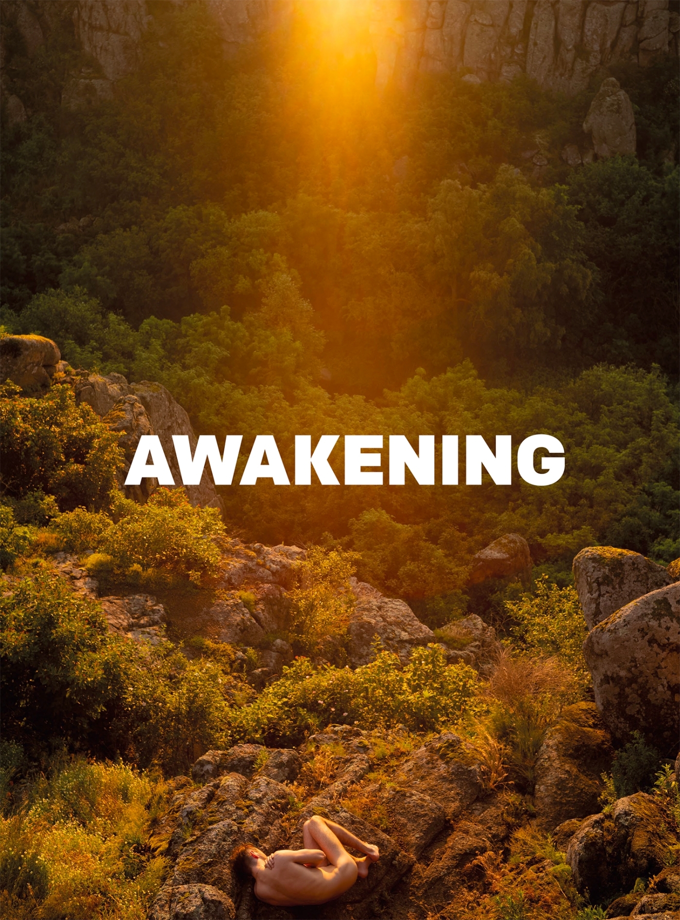 AWAKENING