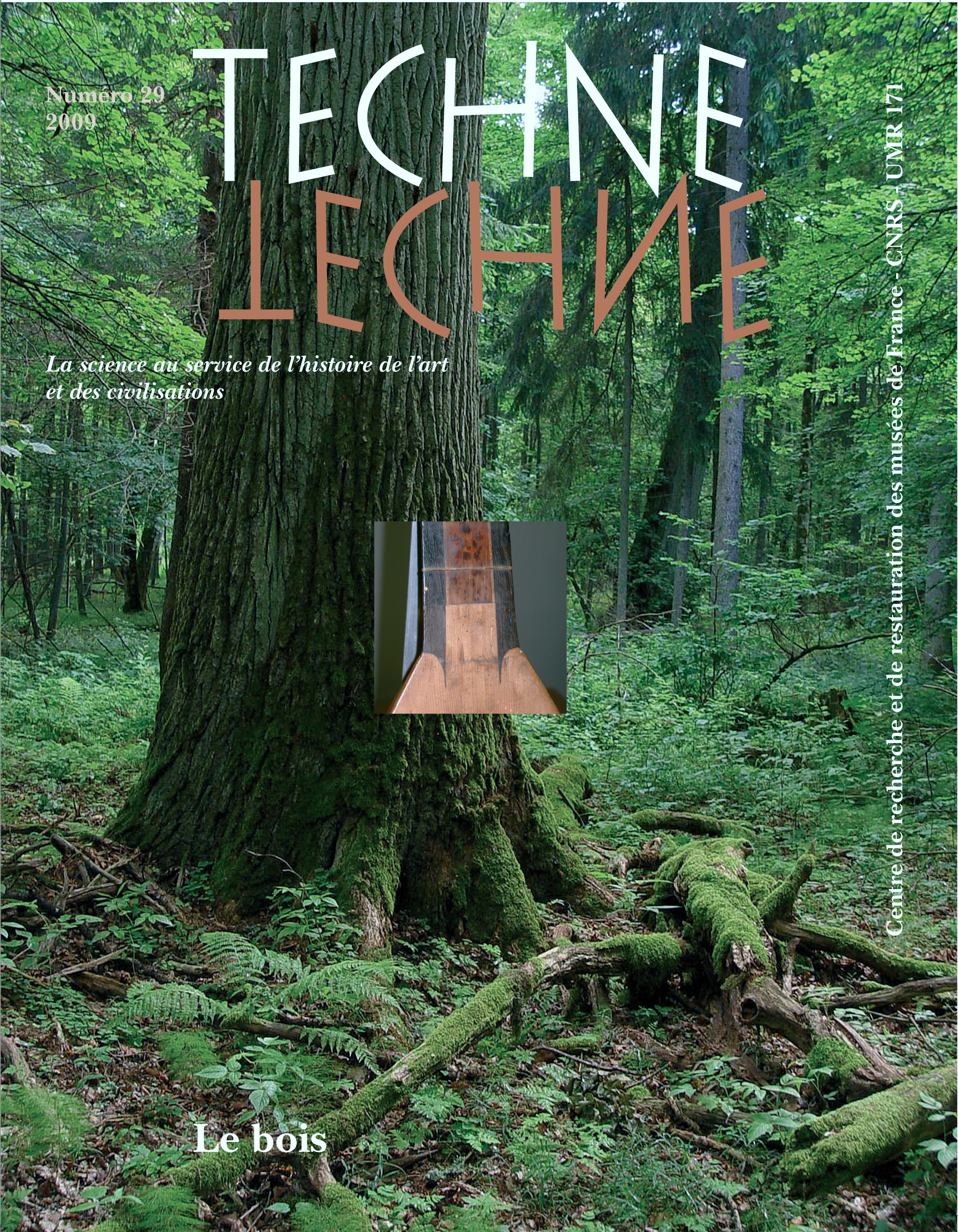 TECHNE, N 29, 2009. LE BOIS
