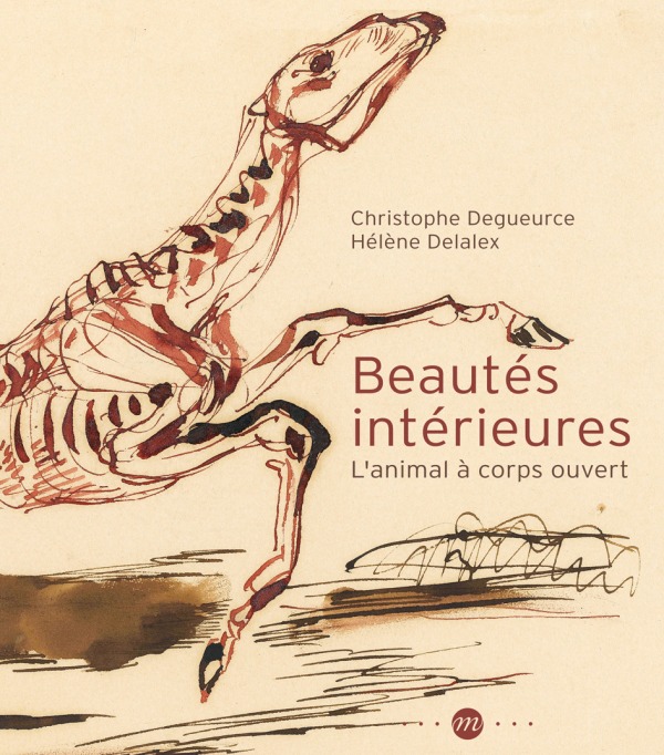 BEAUTES INTERIEURES