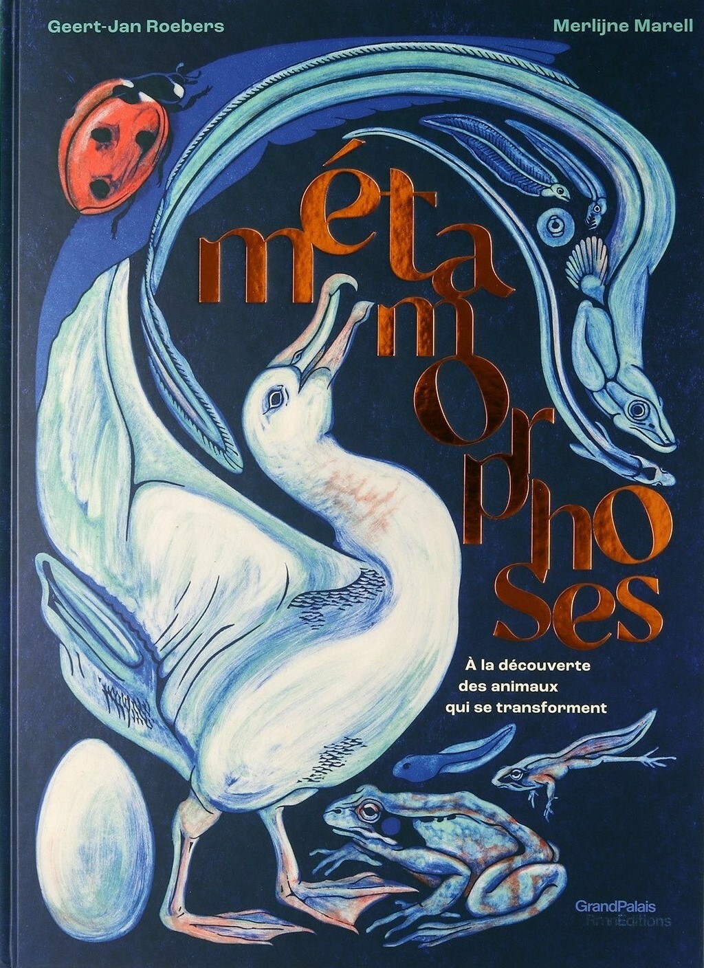 Métamorphoses : À la découverte des animaux qui se transforment
