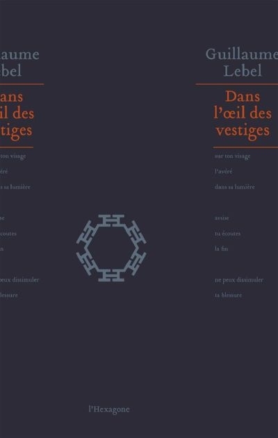 DANS L'OEIL DES VESTIGES