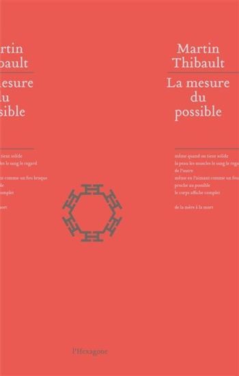 LA MESURE DU POSSIBLE