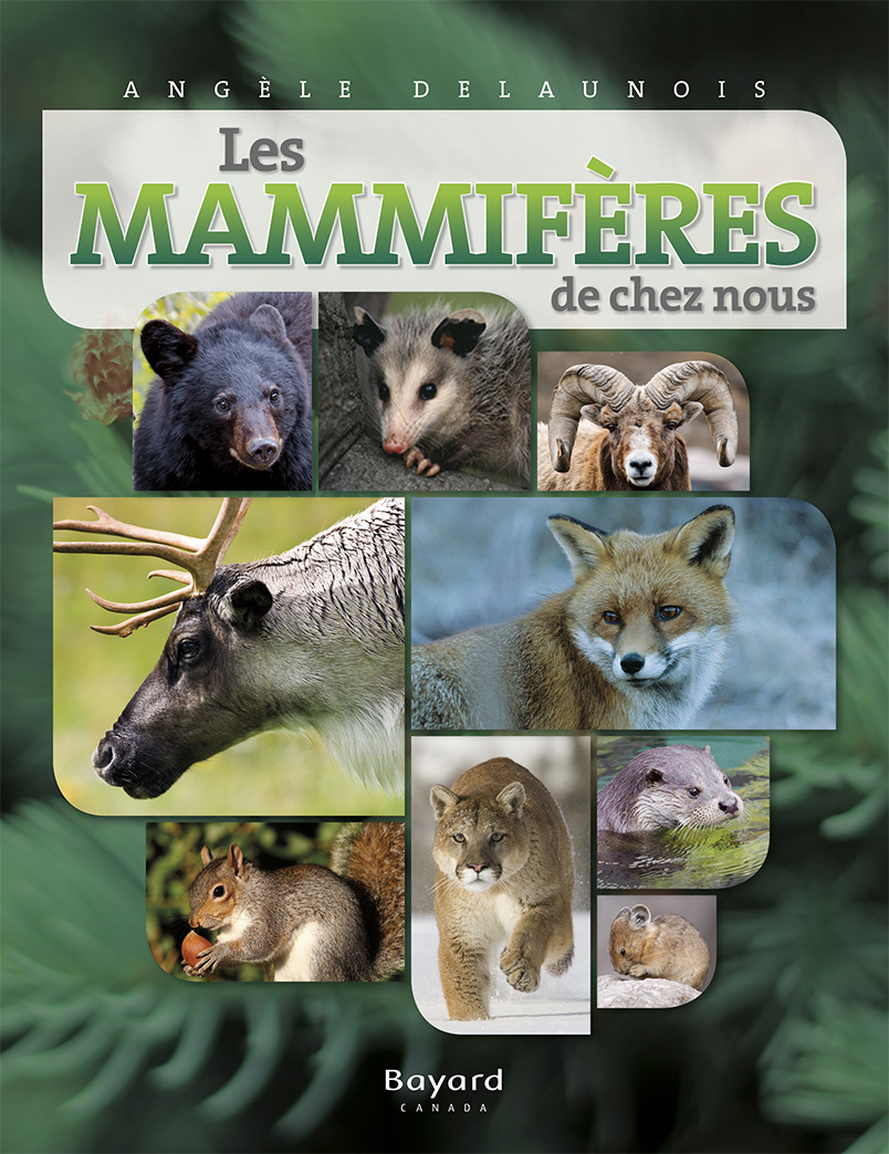 LES MAMMIFERES DE CHEZ NOUS