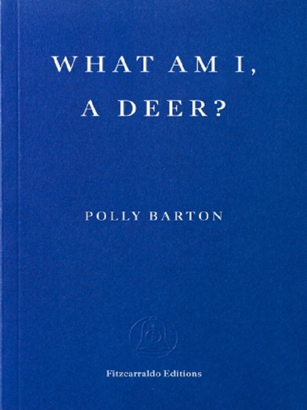 What Am I, A Deer?