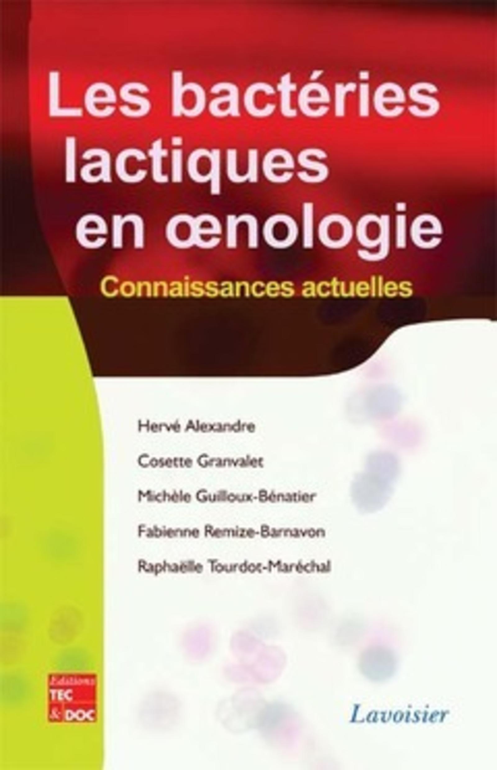 Les bactéries lactiques en ?nologie