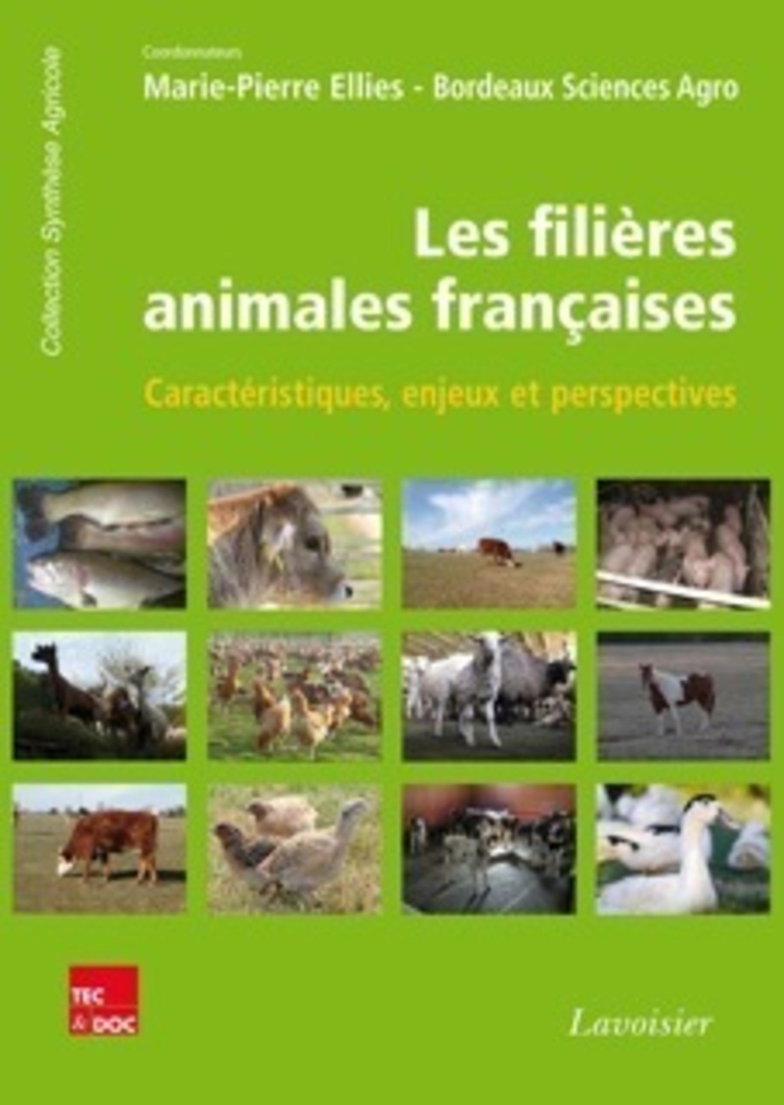 Les filières animales françaises - Caractéristiques, enjeux et perspectives