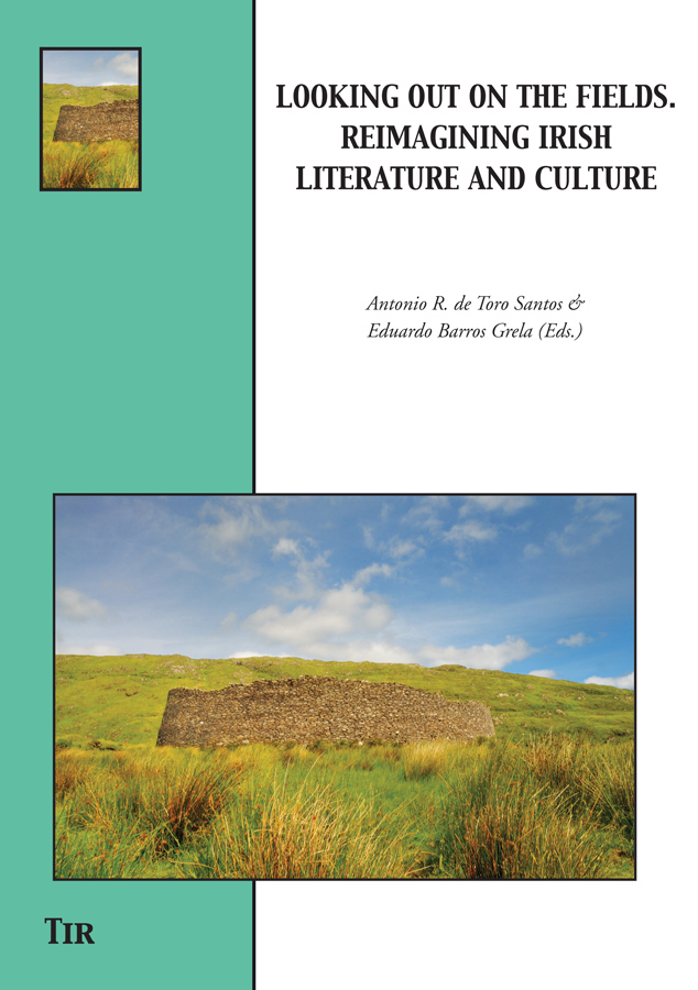 Looking out on the fields - reimagining Irish literature and culture