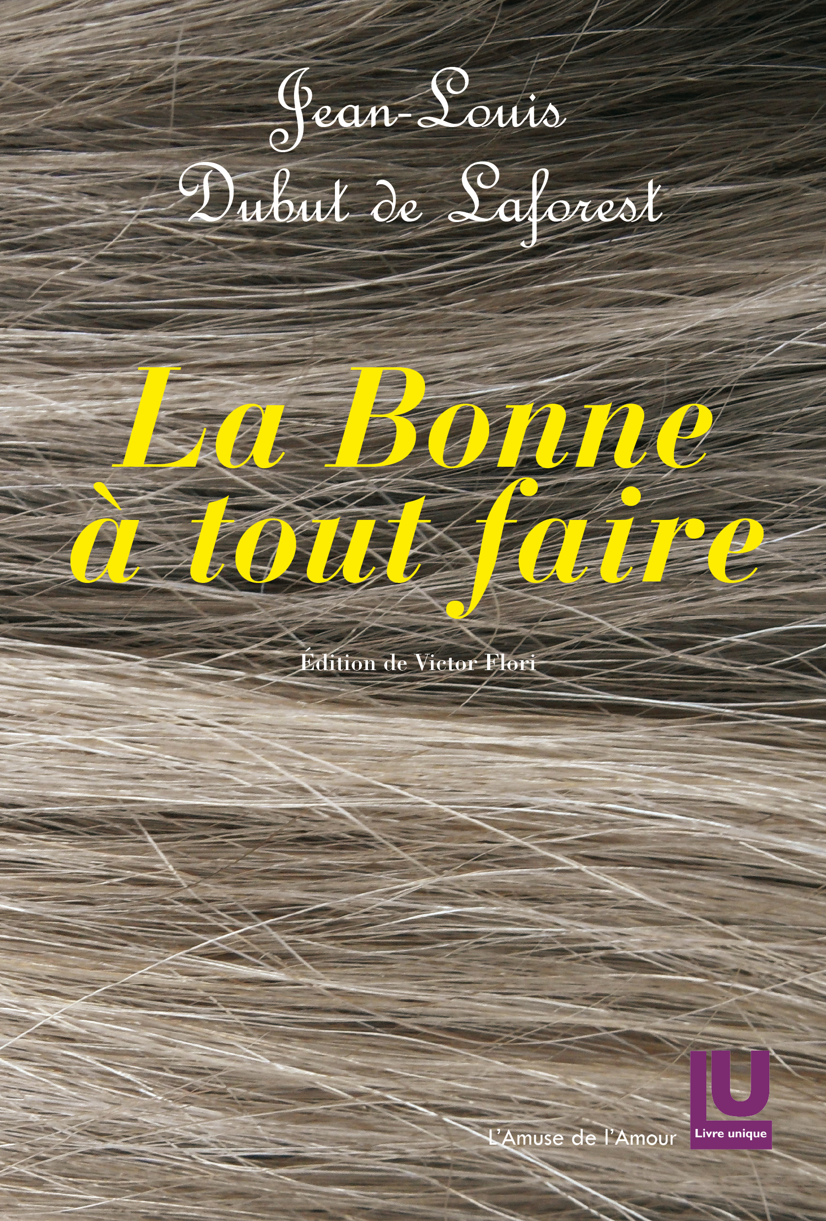 La Bonne à tout faire de Jean-Louis Dubut de Laforest