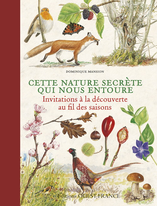 Cette nature secrète qui nous entoure