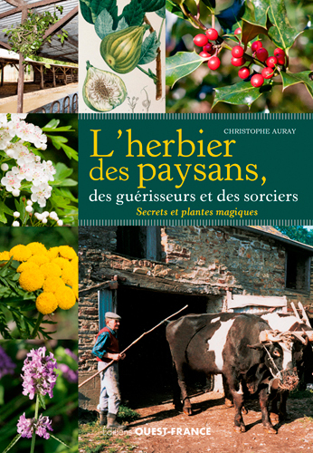 L'herbier des paysans, des guérisseurs et des sorciers
