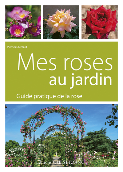 Mes roses au jardin. Guide pratique de la rose