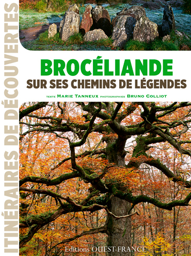 Brocéliande sur ses chemins de légendes