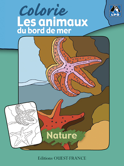 Colorie les animaux du bord de mer