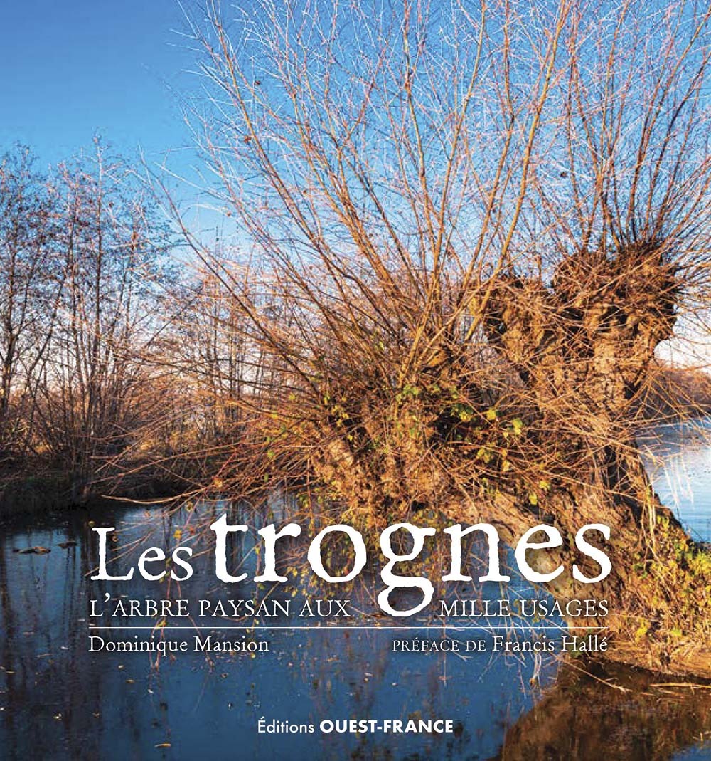Les trognes, l'arbre paysan aux mille usages