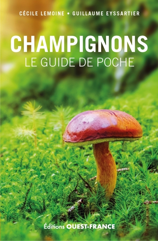 Champignons, le guide de poche