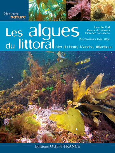 Les Algues du littoral - Mer du Nord, Manche, Atlantique