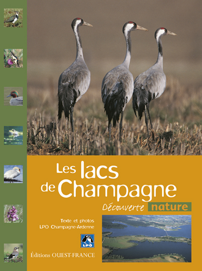 Les Lacs de Champagne