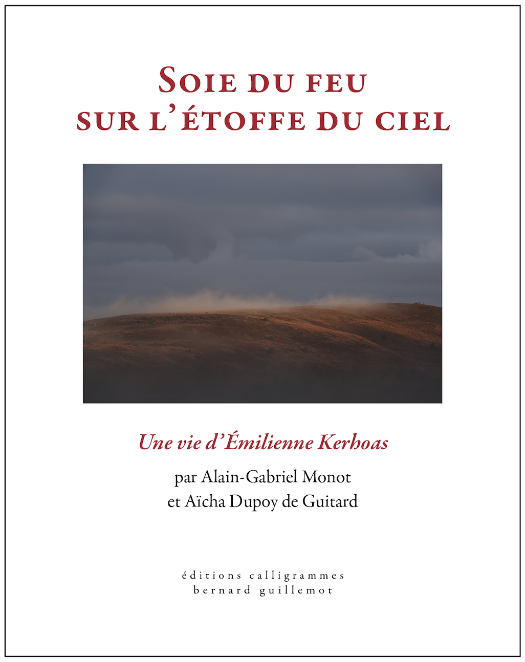 Soie du feu sur l'étoffe du ciel