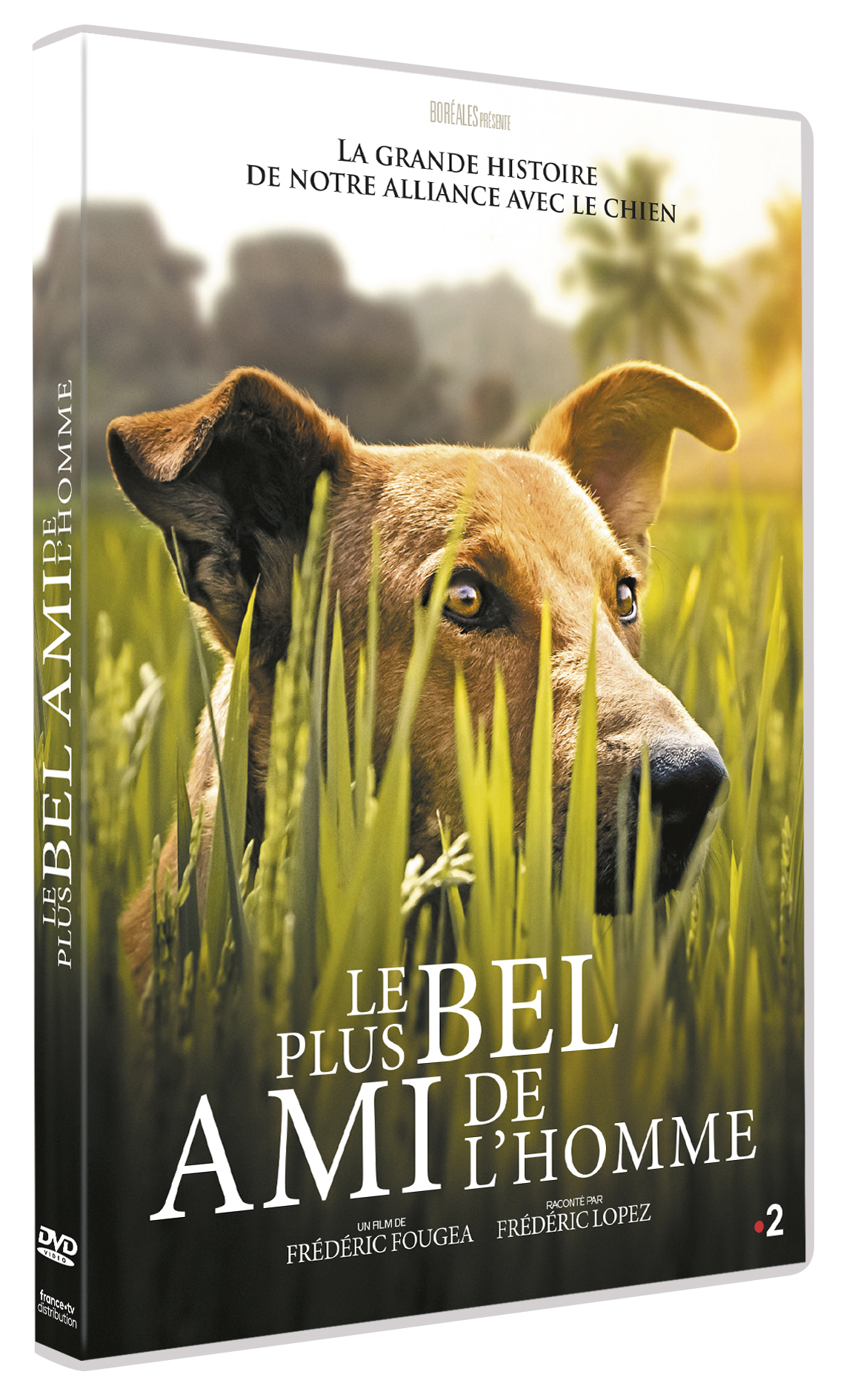 PLUS BEL AMI DE L_HOMME (LE) - DVD